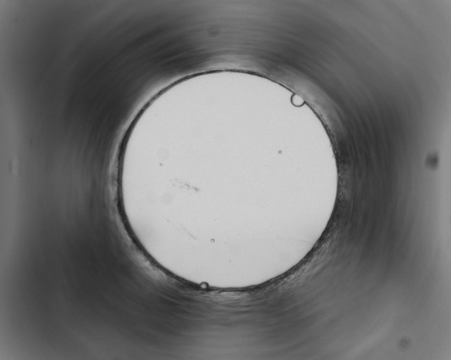 X0000102511140200809051404