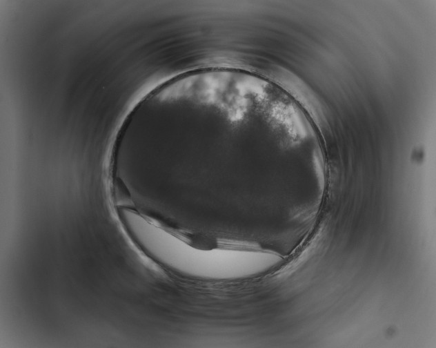 X0000102511141200809051404