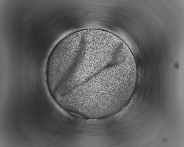 X0000102511142200809051404