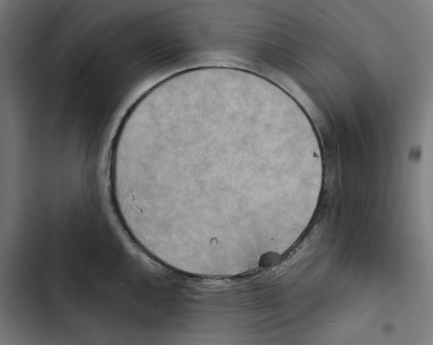 X0000102511144200809051404