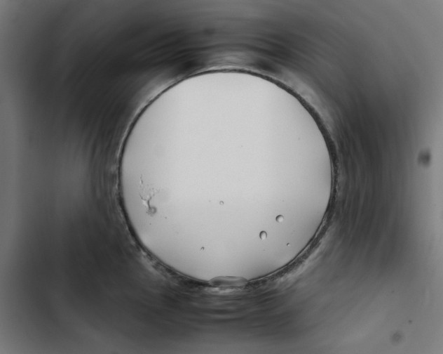 X0000102511145200809051404