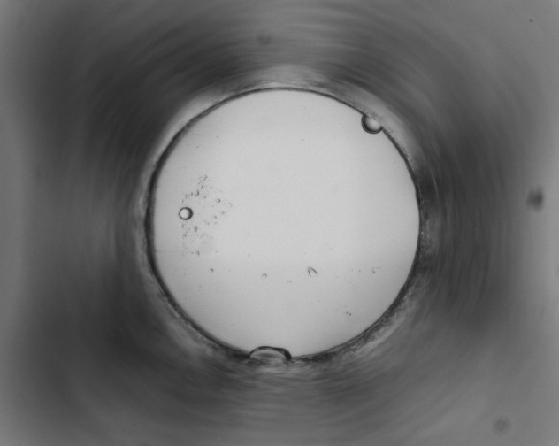 X0000102511146200809051404