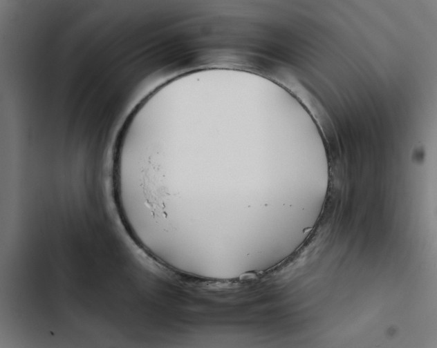 X0000102511147200809051404