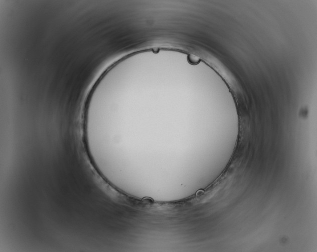 X0000102511148200809051404