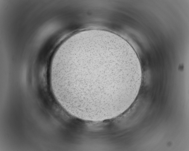 X0000102511150200809051404