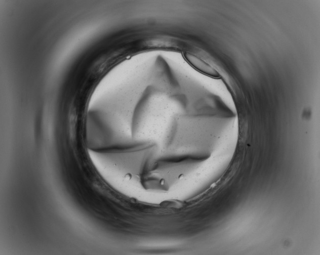 X0000102511151200809051404