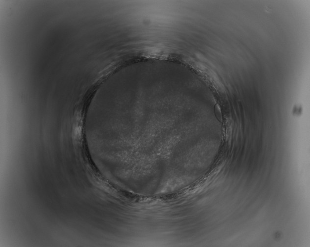 X0000102511154200809051403
