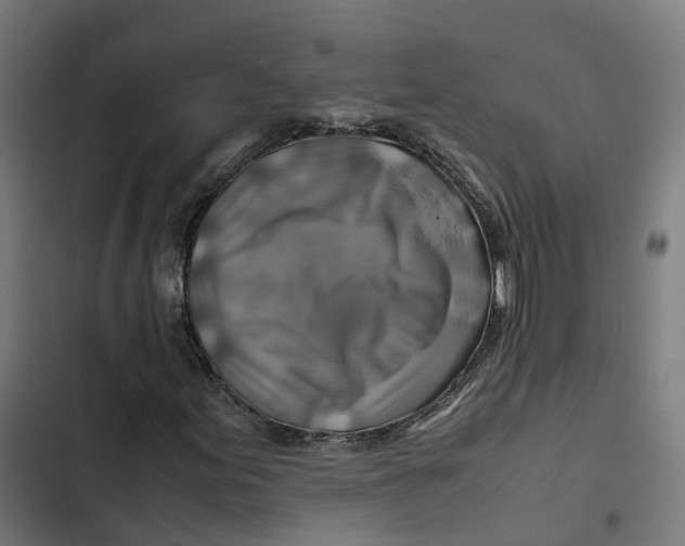 X0000102511155200809051403