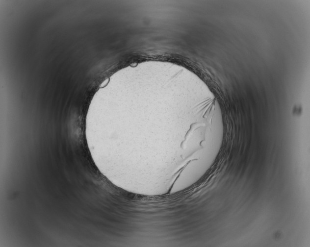 X0000102511156200809051403