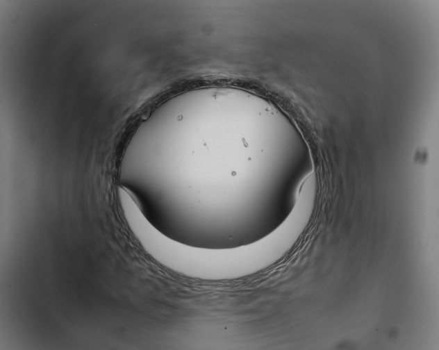 X0000102511157200809051403