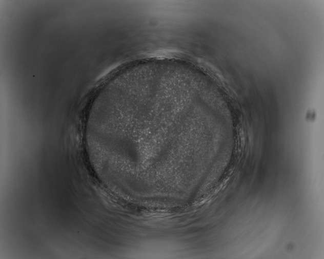 X0000102511158200809051403