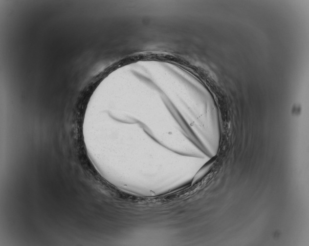 X0000102511159200809051403