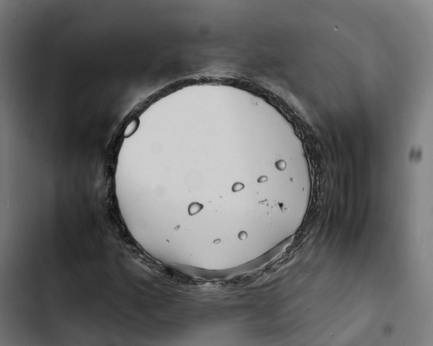 X0000102511160200809051403