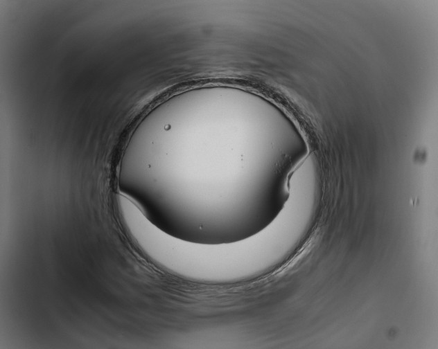 X0000102511161200809051403