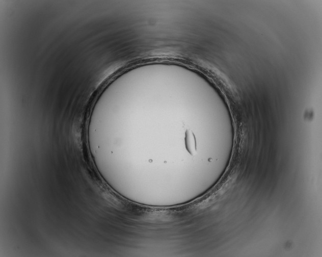 X0000102511162200809051403