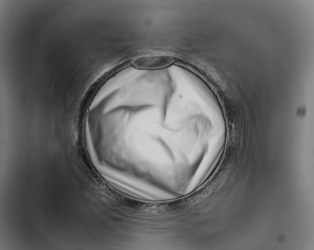 X0000102511165200809051403