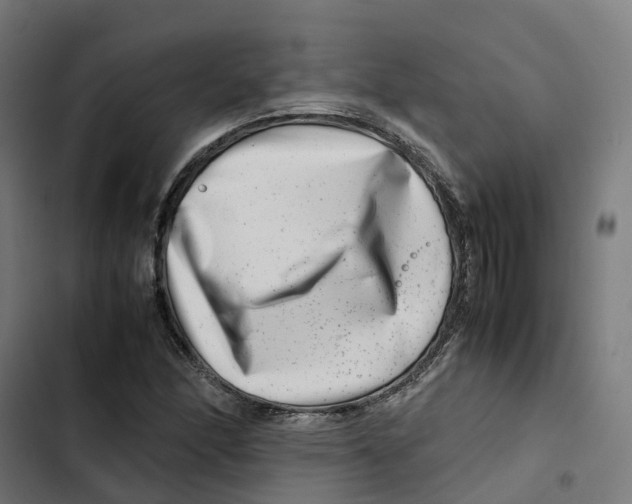X0000102511166200809051403