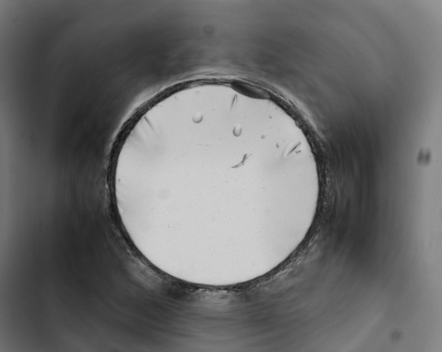 X0000102511168200809051403