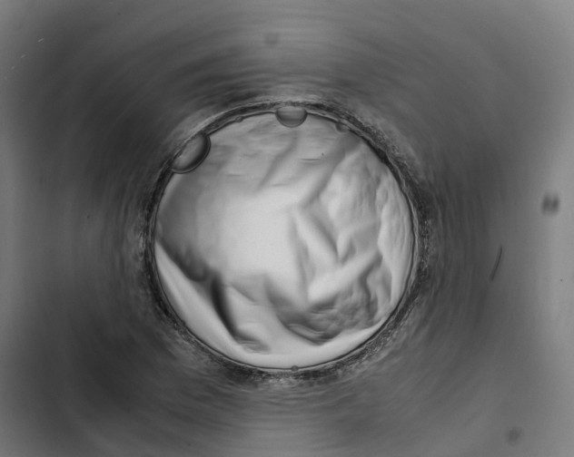 X0000102511169200809051403