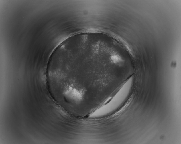 X0000102511170200809051403