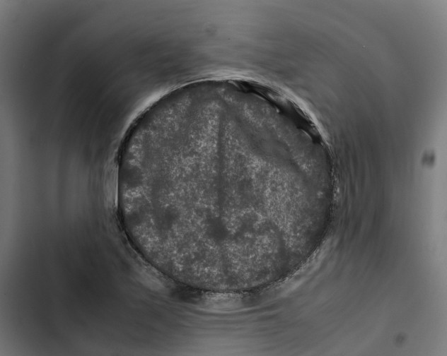 X0000102511171200809051403