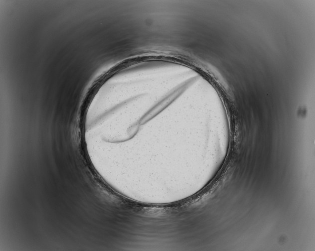 X0000102511172200809051403