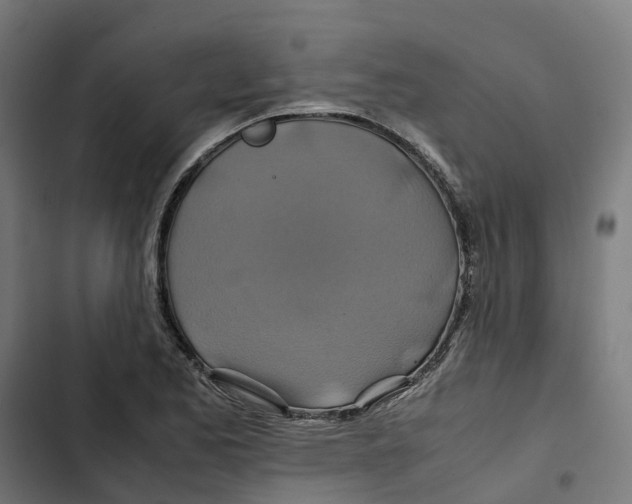 X0000102511173200809051403