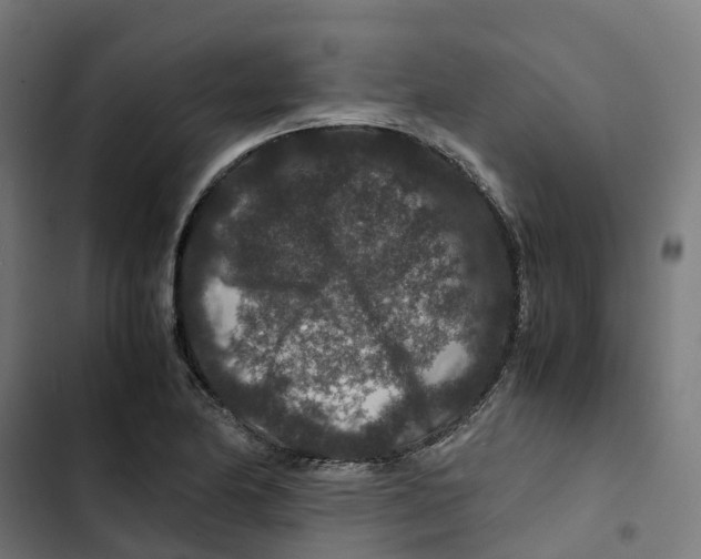 X0000102511174200809051403