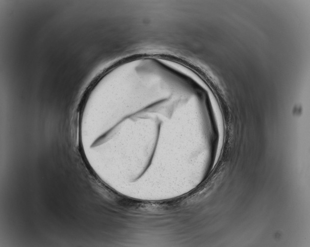 X0000102511175200809051403