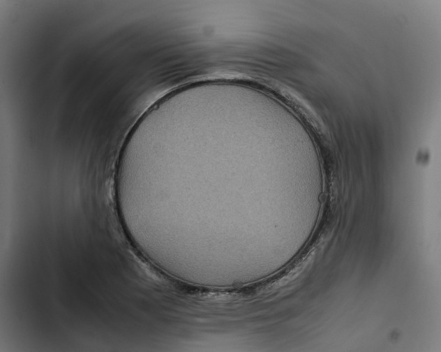 X0000102511177200809051403