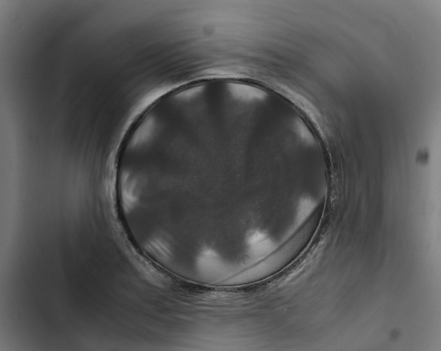 X0000102511179200809051403