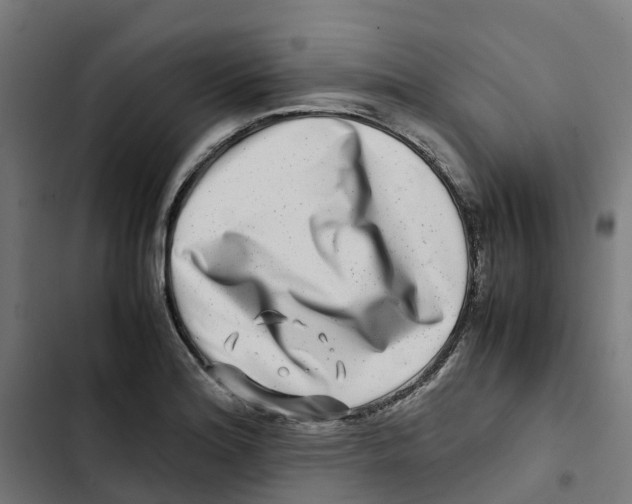 X0000102511180200809051403