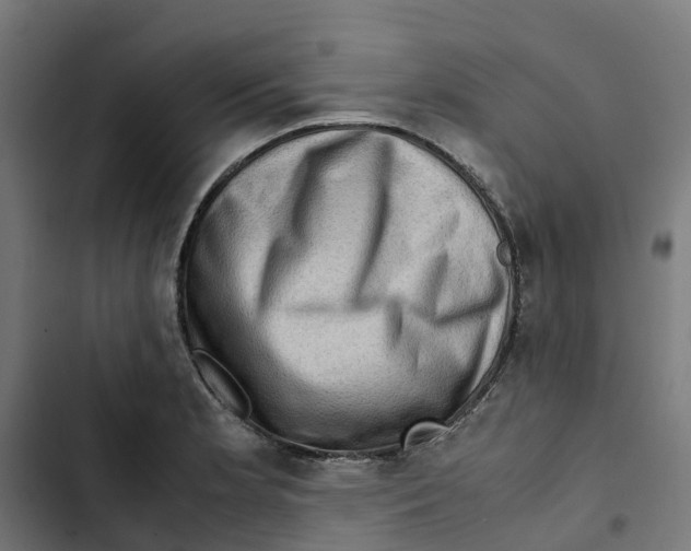 X0000102511181200809051403