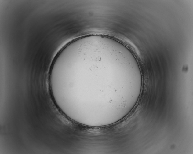 X0000102511182200809051403