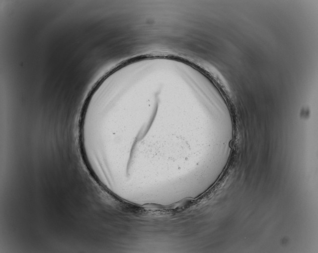 X0000102511183200809051403