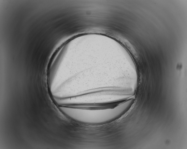 X0000102511184200809051403