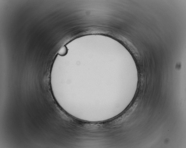 X0000102511185200809051403