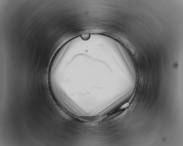 X0000102511186200809051403