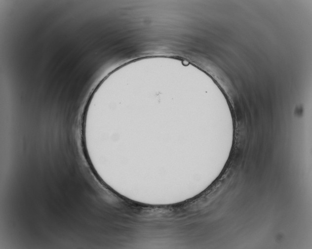 X0000102511187200809051403