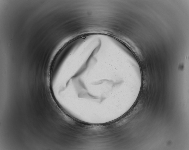 X0000102511188200809051403