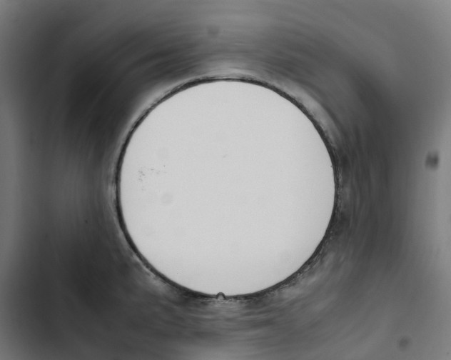 X0000102511191200809051403