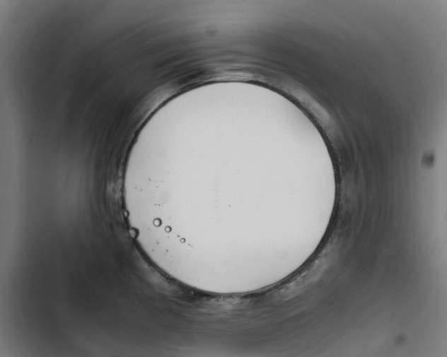 X0000102511193200809051403