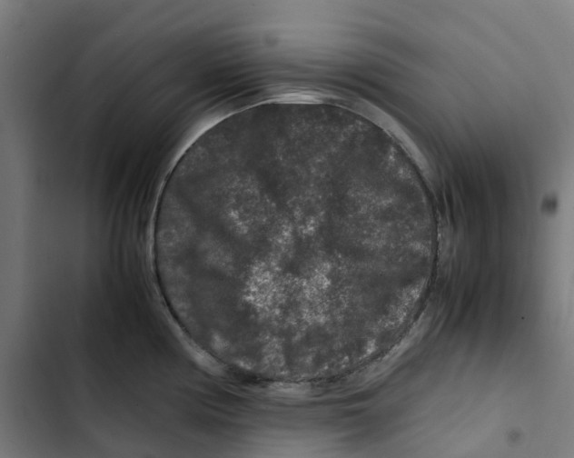 X0000102511194200809051403