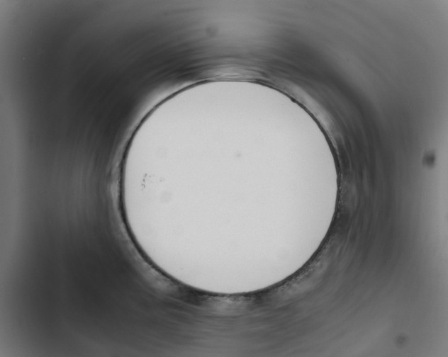 X0000102511195200809051403