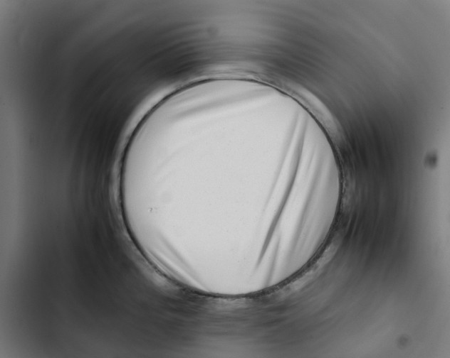 X0000102511196200809051402