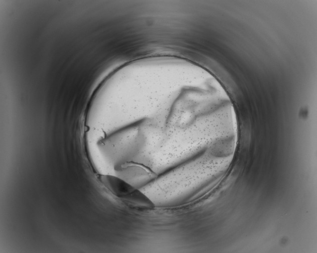 X0000102511198200809051402