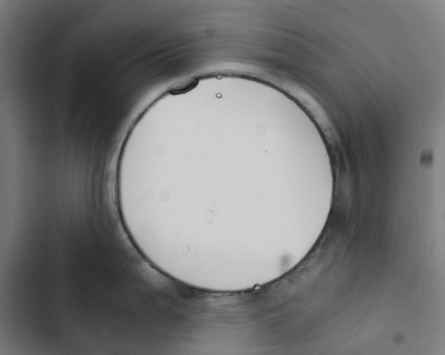 X0000102511199200809051402