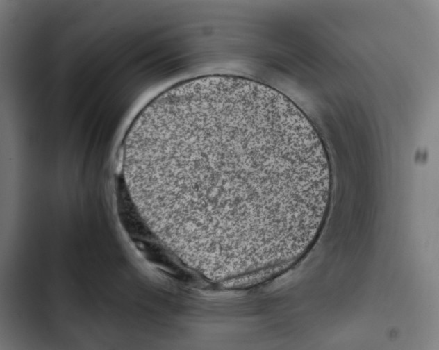 X0000102511200200809051402