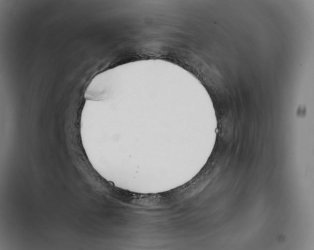 X0000102511201200809051402
