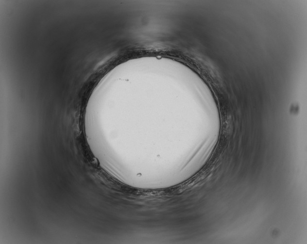 X0000102511205200809051402